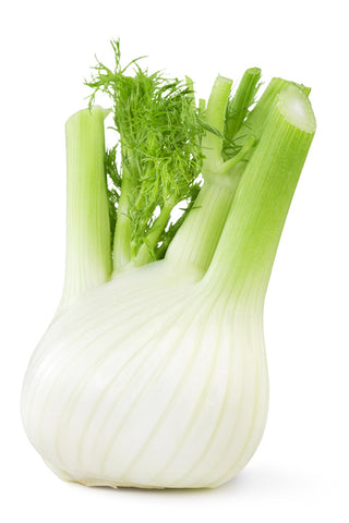 Fenchel 1 Stk
