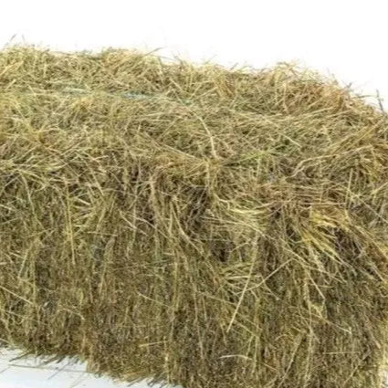 Heuballen plastikfrei (Vorbestellartikel)