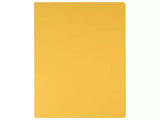 Schnellhefter (verschied. Farben)